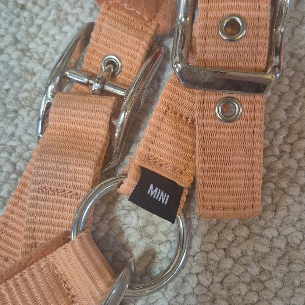 Lemieux Mini Vogue Halter Apricot - Picture 2 of 3